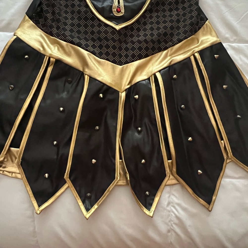 Warrior Princess/Gladiator Woman Costume - Picture 4 of 16